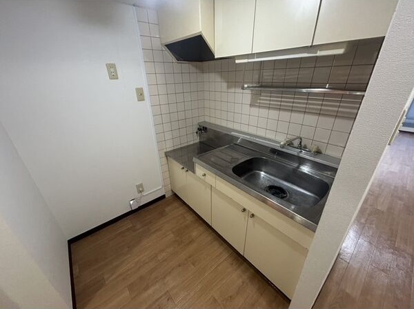 ビッグバーンズマンションN32E